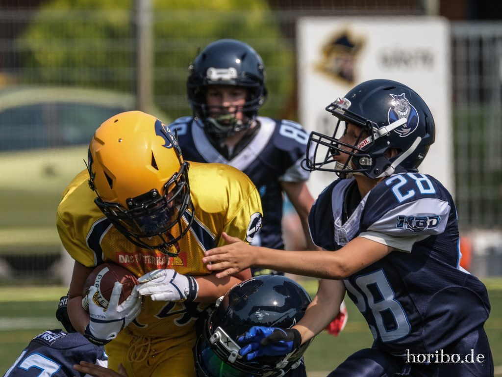 HR-23-07-09-11-29-18-5623