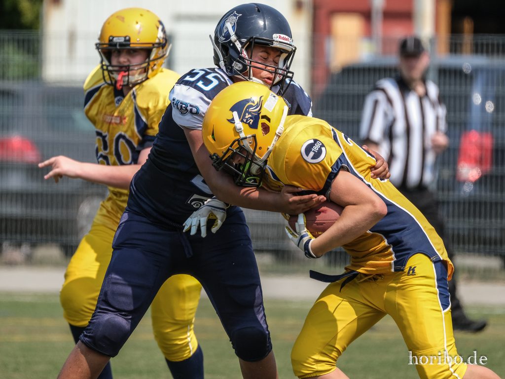 HR-23-07-09-12-36-13-6044