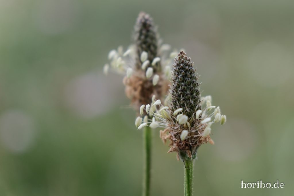 HR-23-08-26-13-06-35-7911