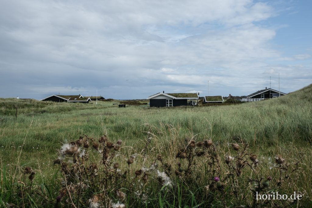 HR-23-08-26-15-01-54-7946