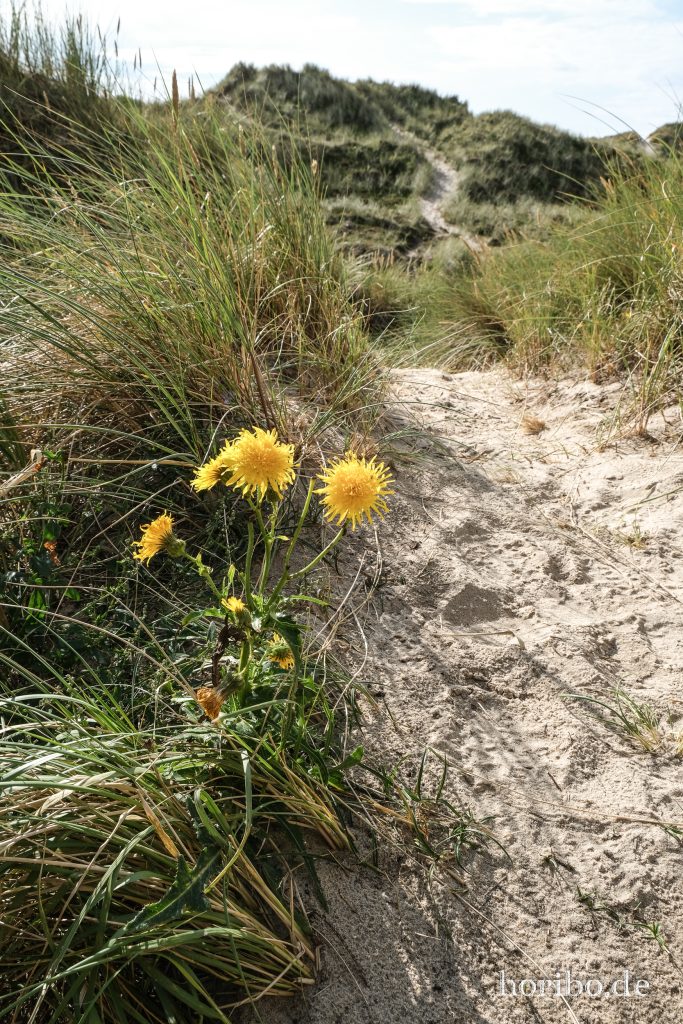 HR-23-08-26-16-56-13-7950