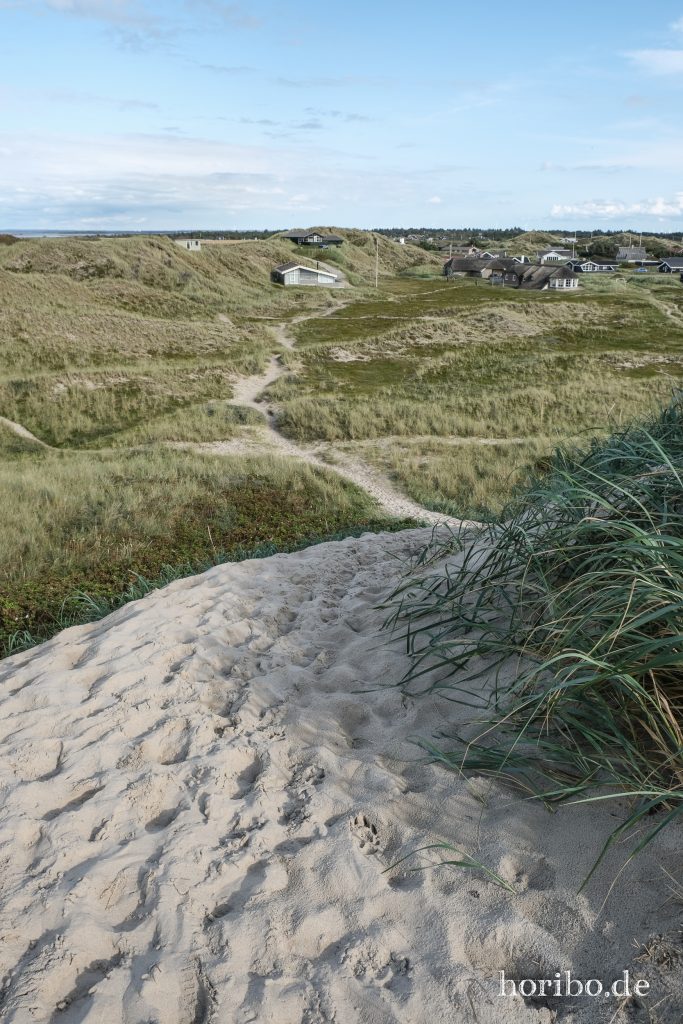 HR-23-08-26-17-01-53-7954