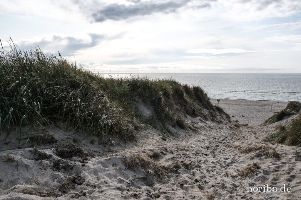 HR-23-08-26-17-02-36-7956