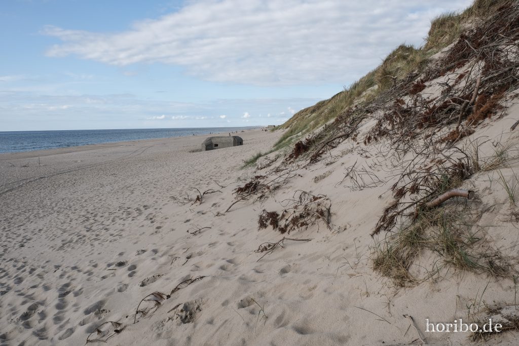 HR-23-08-26-17-03-36-7957