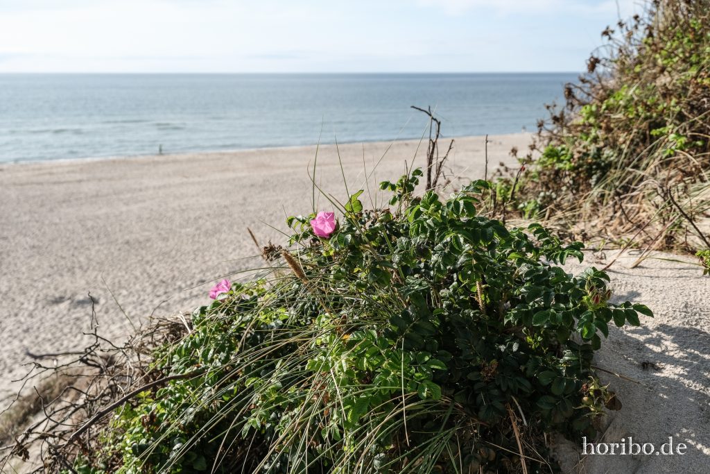 HR-23-08-26-17-40-46-7976