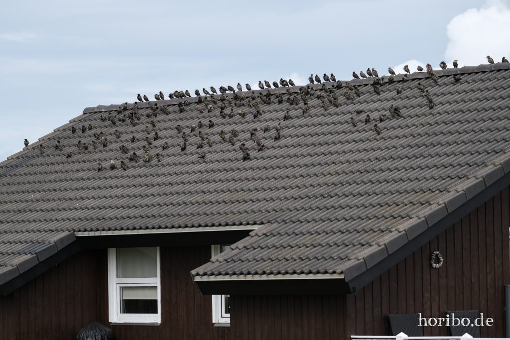 HR-23-08-27-14-44-09-8127