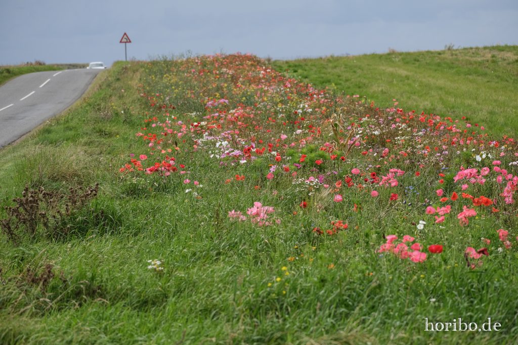 HR-23-08-27-15-00-11-8147