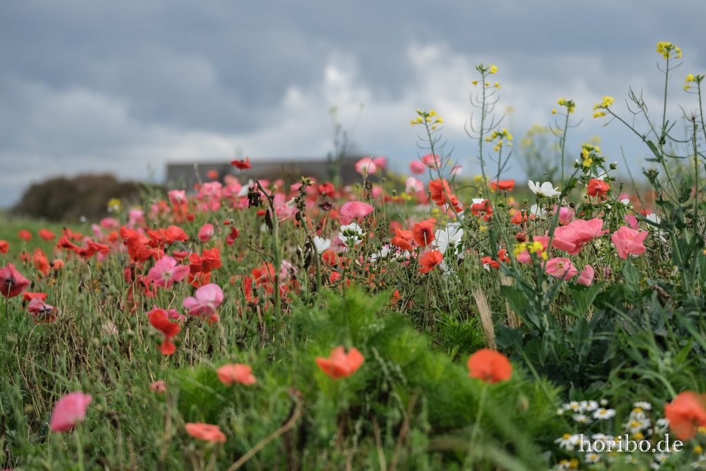 HR-23-08-27-15-00-58-8150