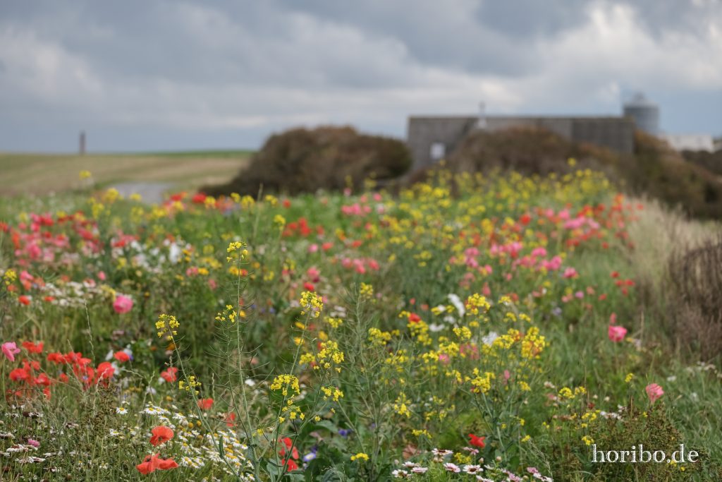 HR-23-08-27-15-02-25-8155