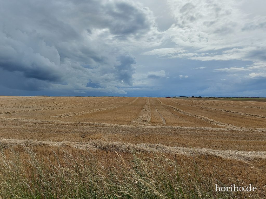 HR-23-08-27-15-14-10-151409