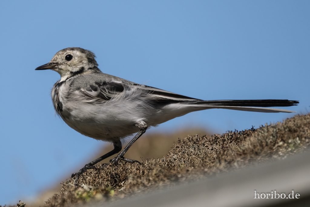 HR-23-08-28-12-04-13-8219