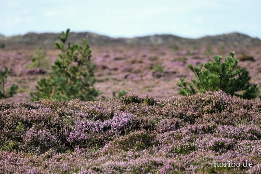 HR-23-08-28-15-28-31-8304