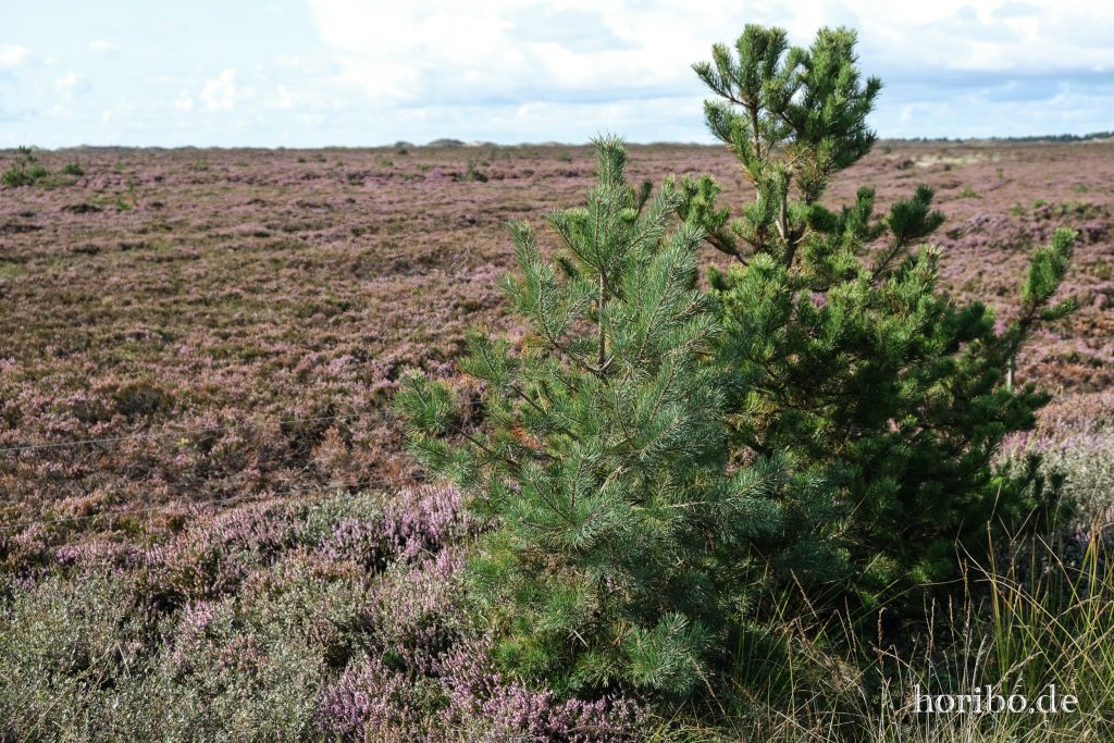 HR-23-08-28-15-34-08-8314