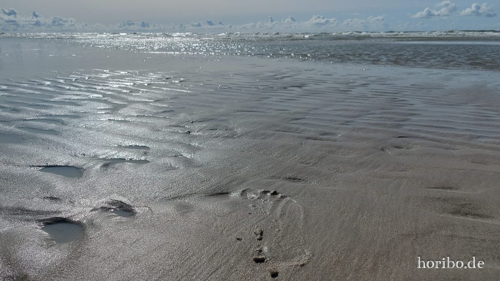 HR-23-08-28-16-03-00-160300