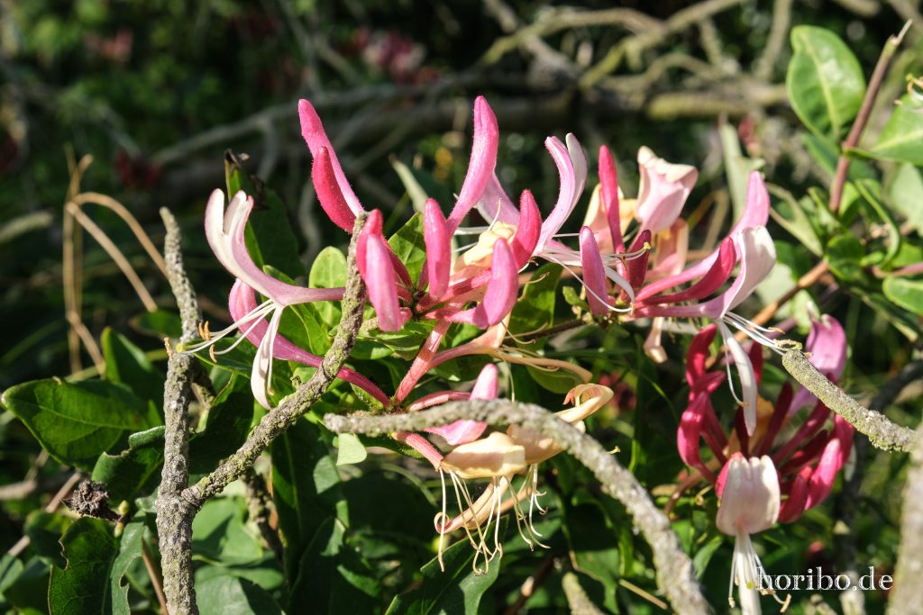 HR-23-08-29-16-25-42-8374