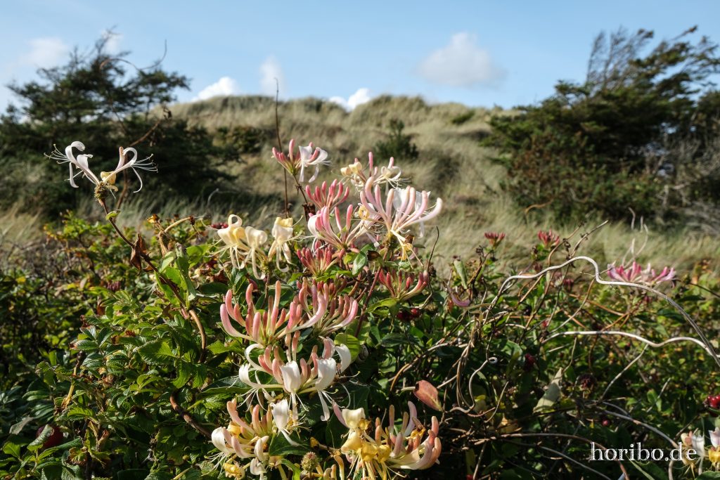 HR-23-08-29-16-28-34-8379