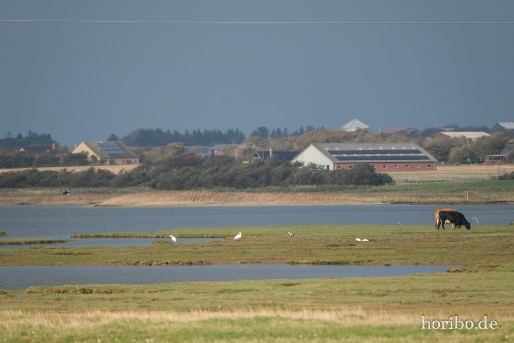 HR-23-08-30-18-09-36-8566