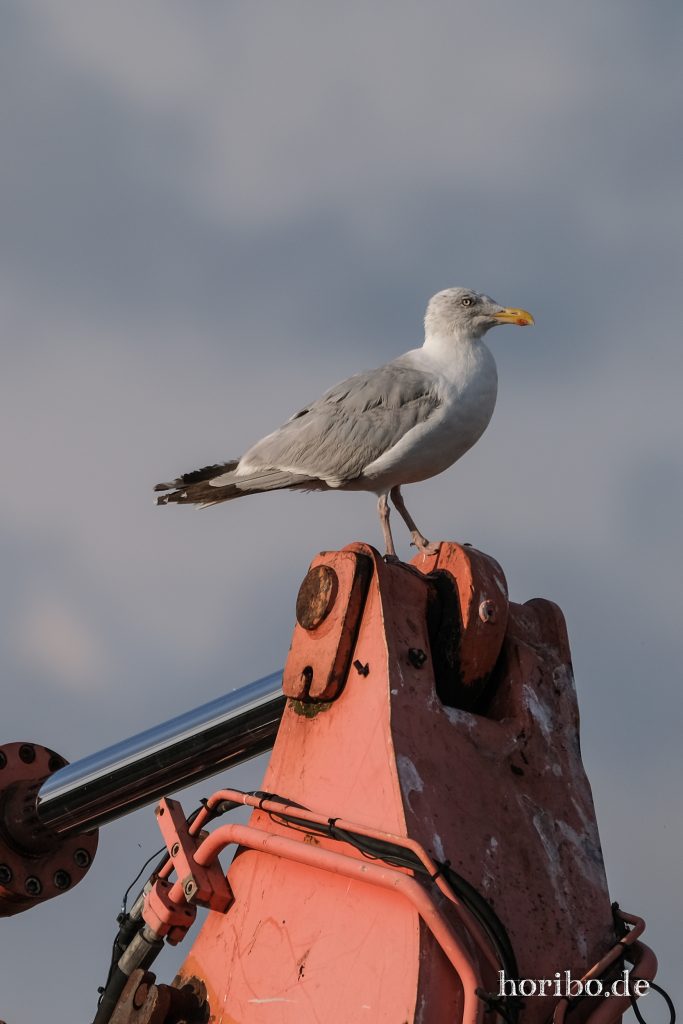 HR-23-08-31-18-18-22-8742