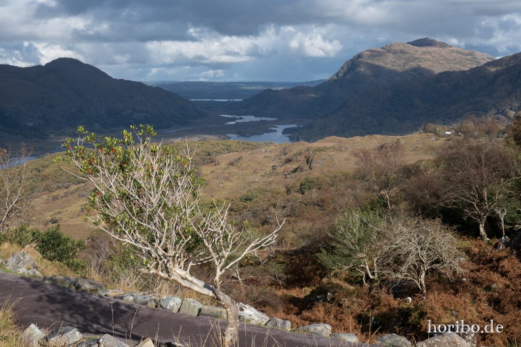Upper Lakes Killarney National Park (2/2)