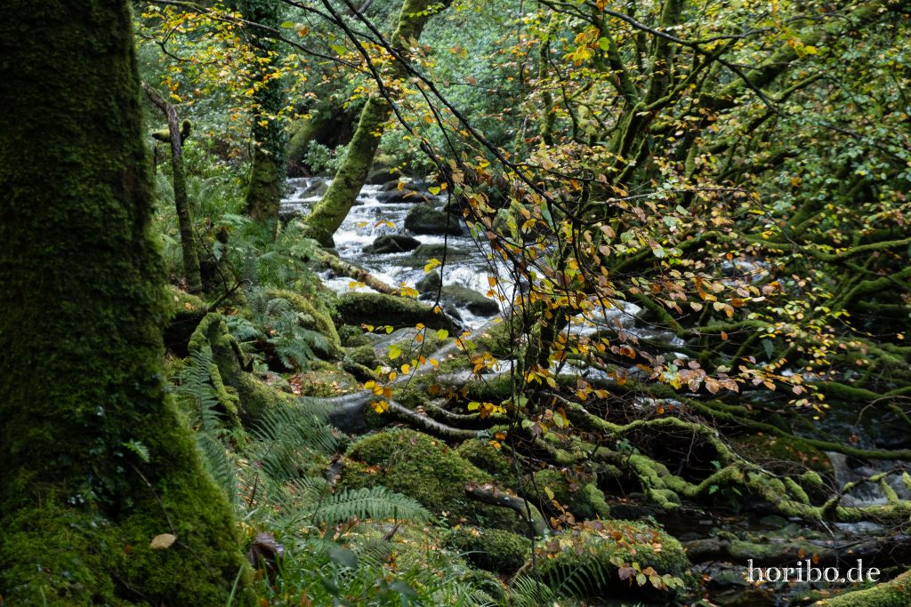 Auf dem Weg zum eigentlichen Wasserfall