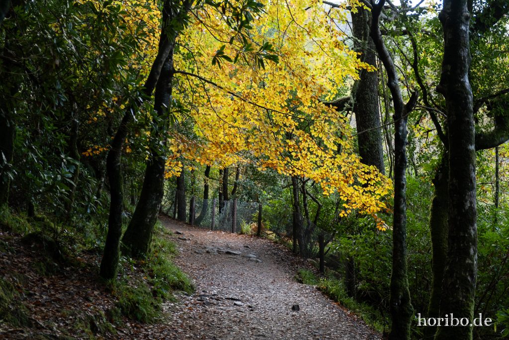 es geht auch mal nicht ganz so steil