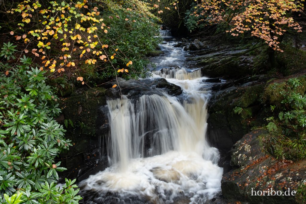 Erste von 92 Fallstufen des Torc Waterfall