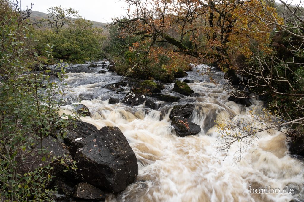 Wildwasser am Ring of Kerry (1/3)