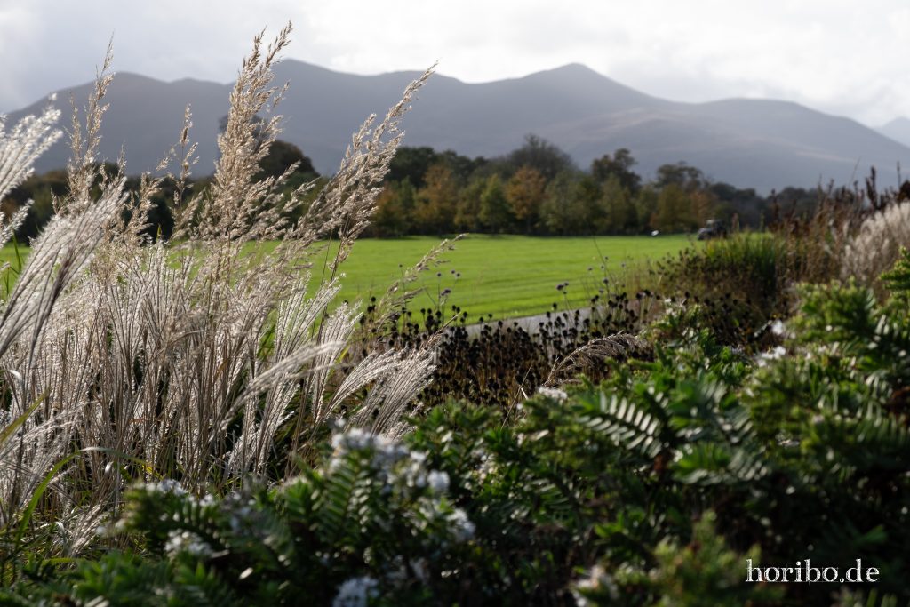 Im Park von Killarney House