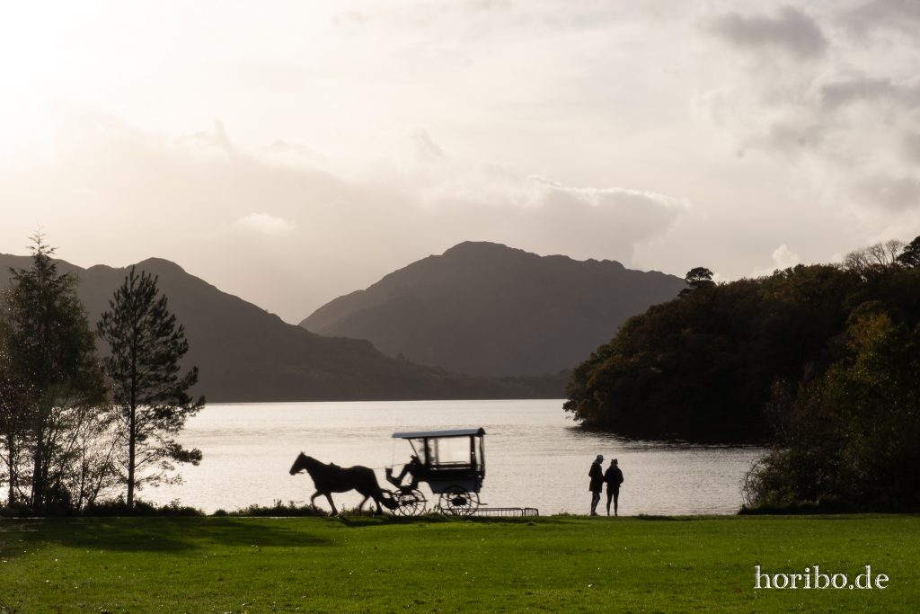 Blick über den Muckross Lake
