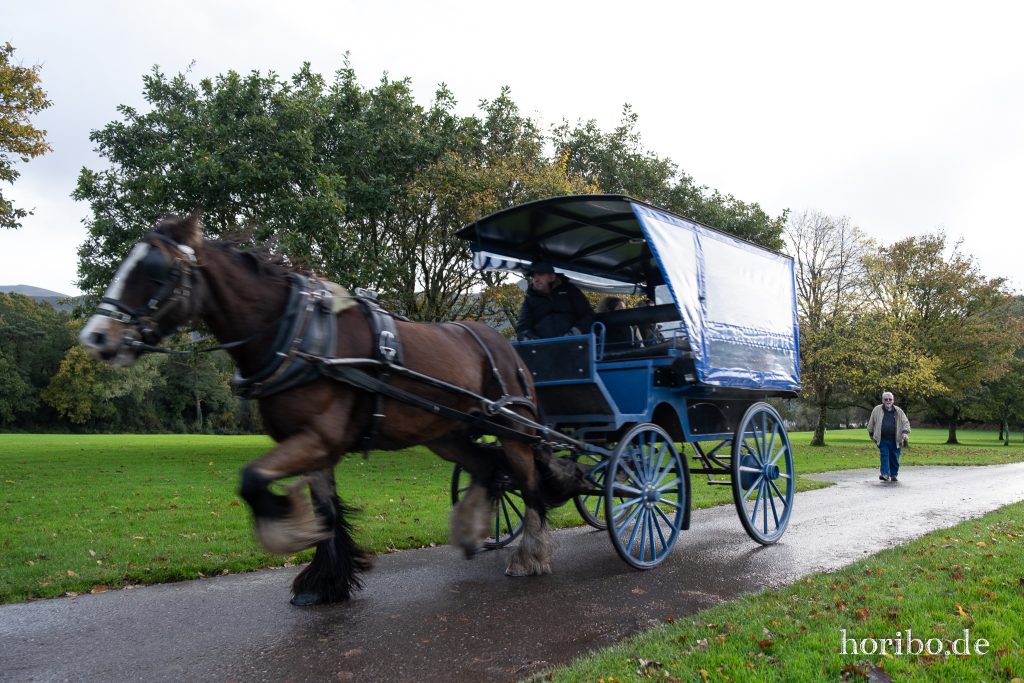 Kutsche im Park