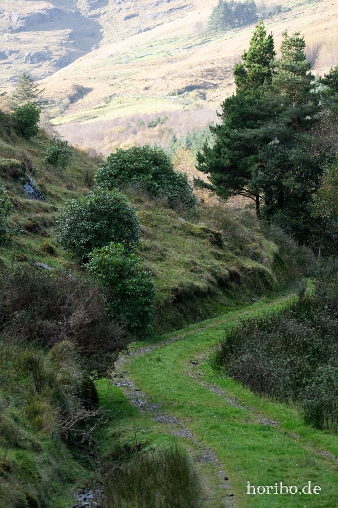 Frühestens im Februar wird dieser Weg mal wieder Sonnenlicht sehen