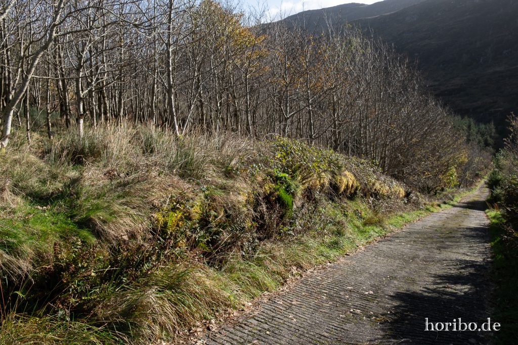 Die ‚Auffahrt‘ zum Grundstück