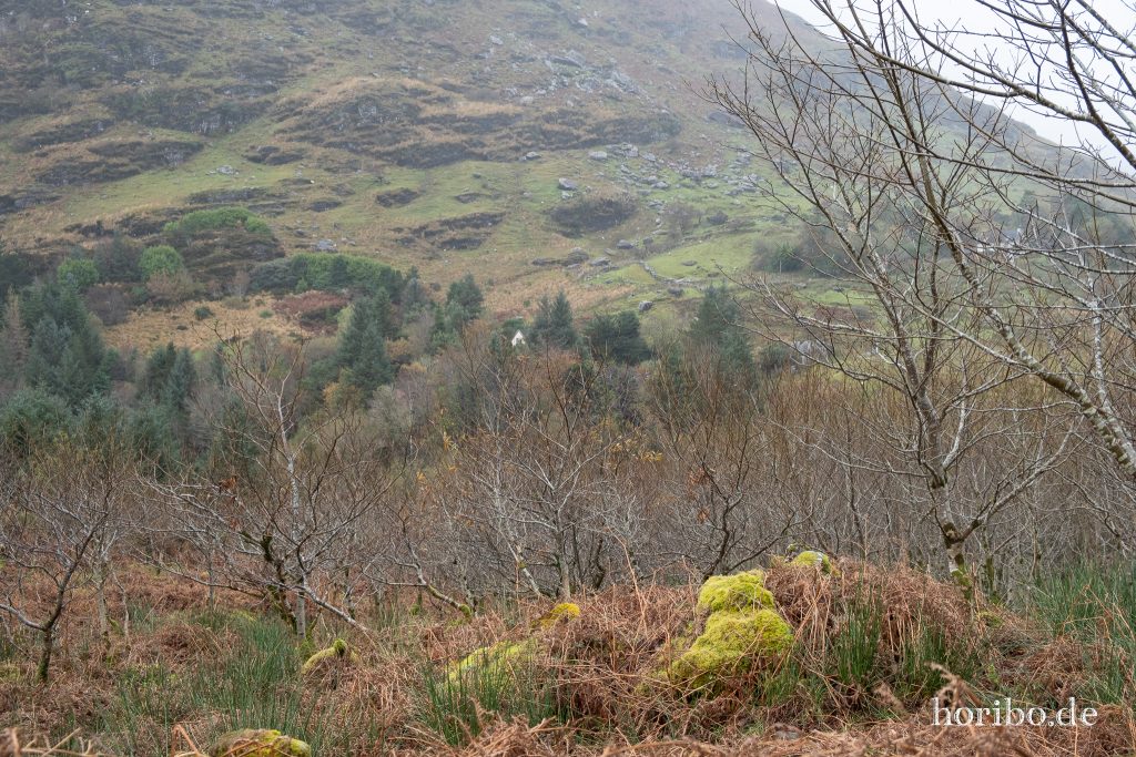 hnten das Haus, vorn Reste eines Stoneforts