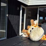 Geronimo gefällt es auch