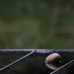 Spiegelung auf unserem Terassentisch