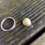 Mini-Schnecke auf der Veranda