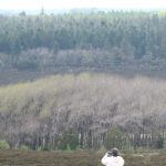 Trehøje Nationalpark