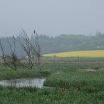 Skærum Møllevej – unfassbar schön!