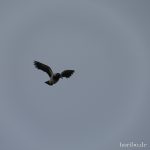 auch der blieb anonym…