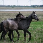 da bahnt sich was an