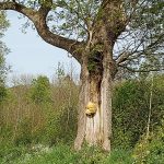 ein letztes Bild und ab, nach Hause!