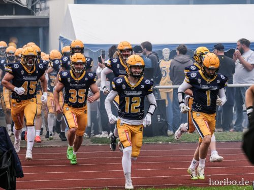 HR-24-06-08-14-55-03-7119