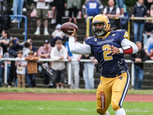 HR-24-06-08-15-09-09-7202