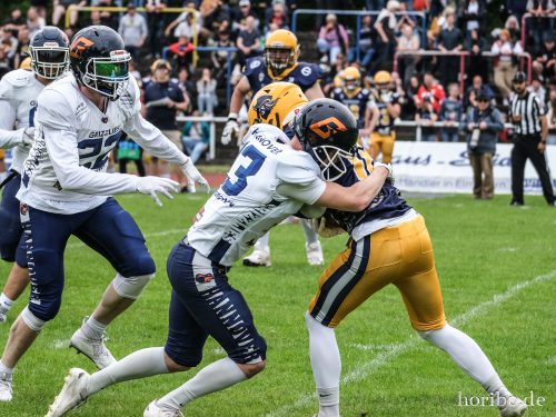 HR-24-06-08-15-09-12-7208