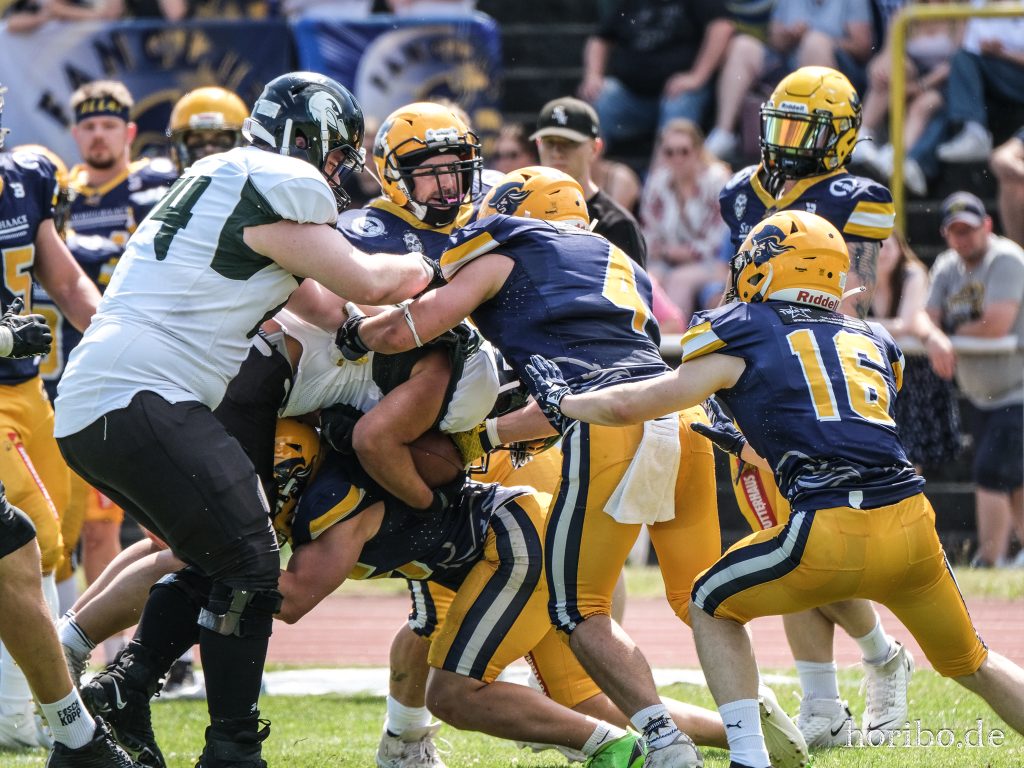 HR-24-06-29-15-25-45-8236