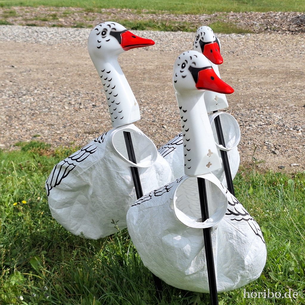 Ist das Kunst oder kann das weg?