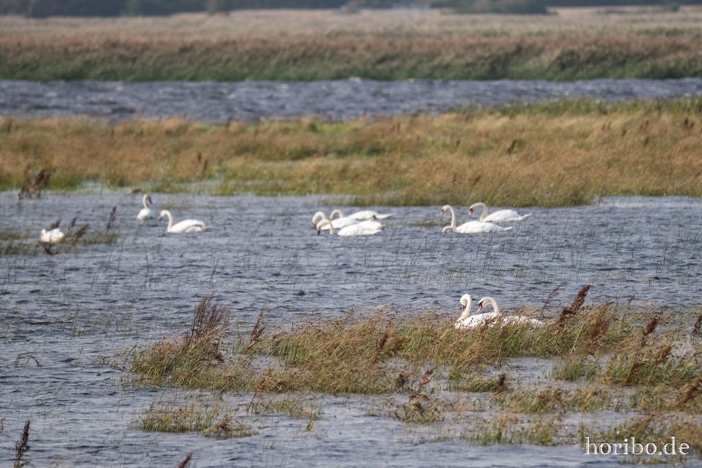 Indfjorden, Bøvlingbjerg (2)
