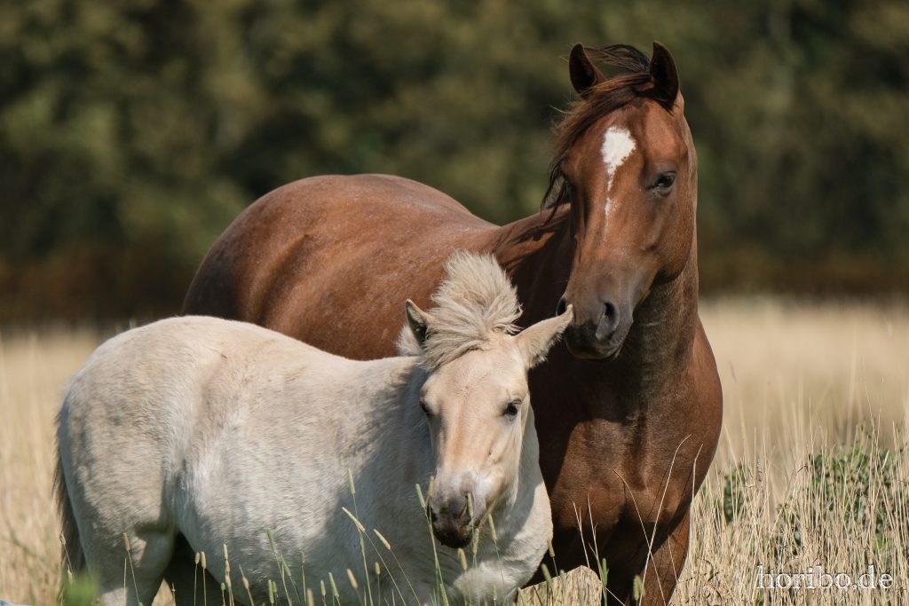 die Kleine wächst und wächst!