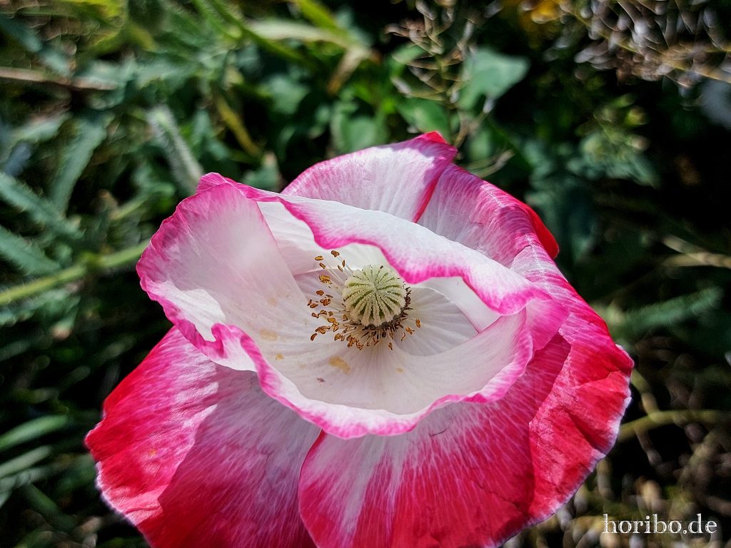 HR-24-08-27-13-22-34-132229