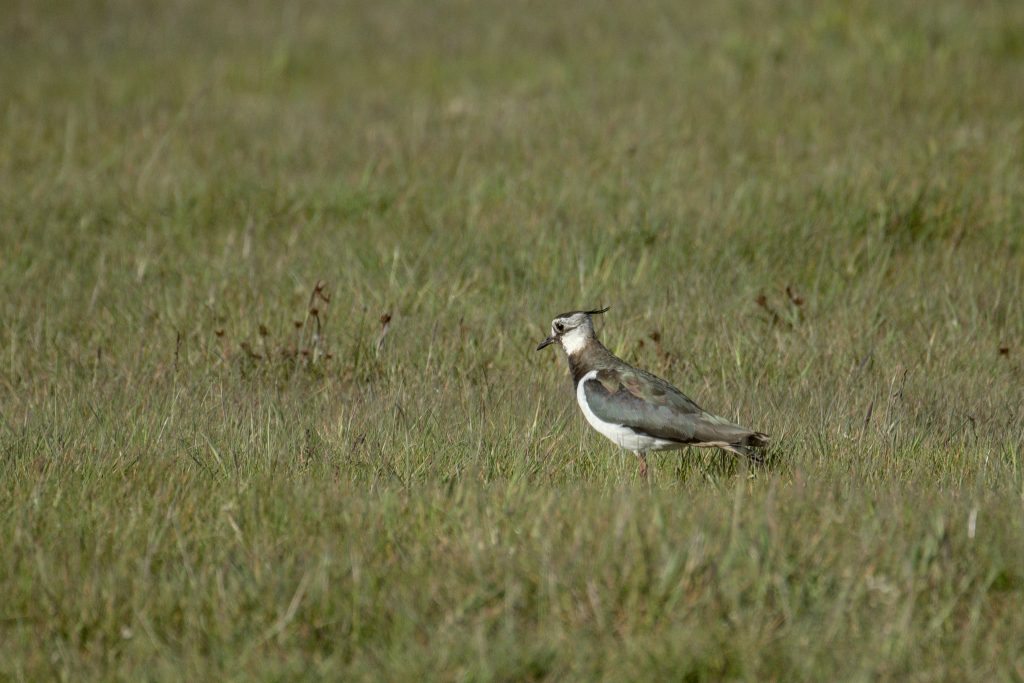 HR_2025-05-17_18-08-35_DSCF0959